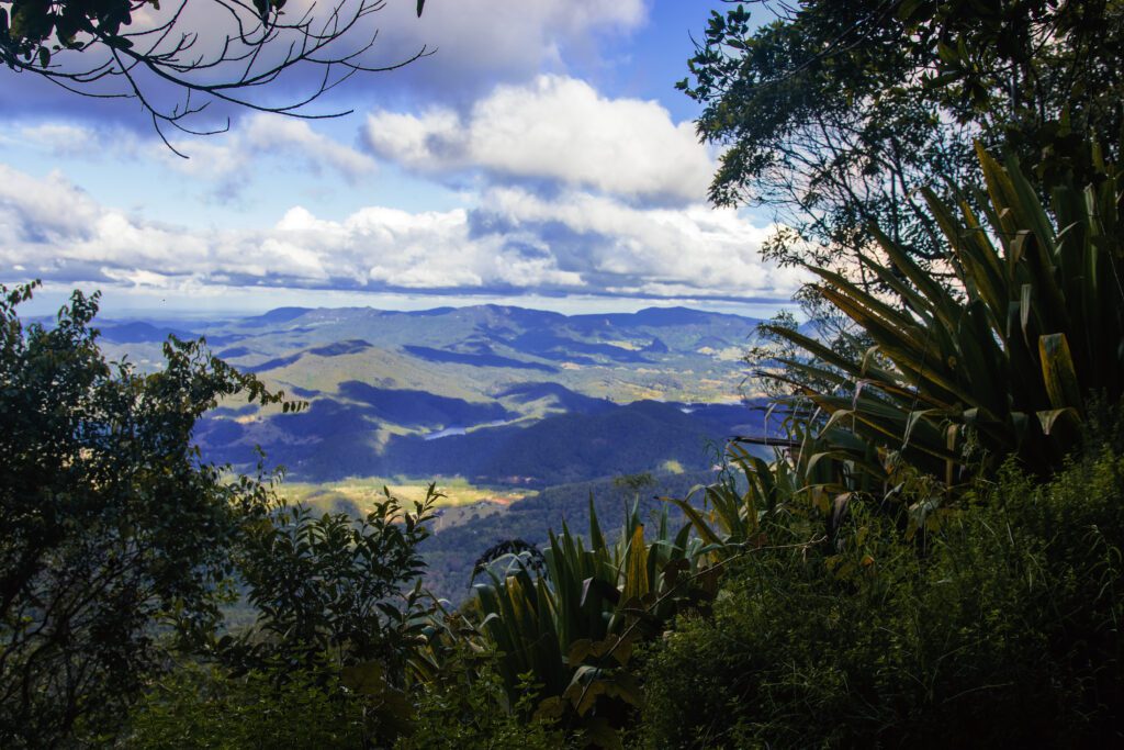 Photo Gallery - Escape to Tamborine Mountain